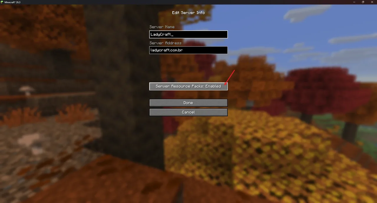 Clique para ampliar 3. Server Resource Packs: Enabled (Ativado), depois Done (Concluído)