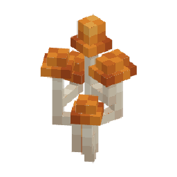 Cogumelos Laranja Grandes